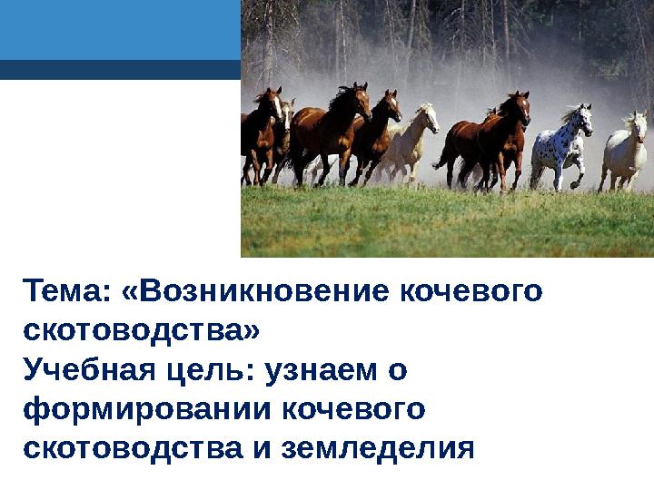 Тема: «Возникновение кочевого скотоводства» Учебная цель: узнаем о формировании кочевого скотоводства и земледелия