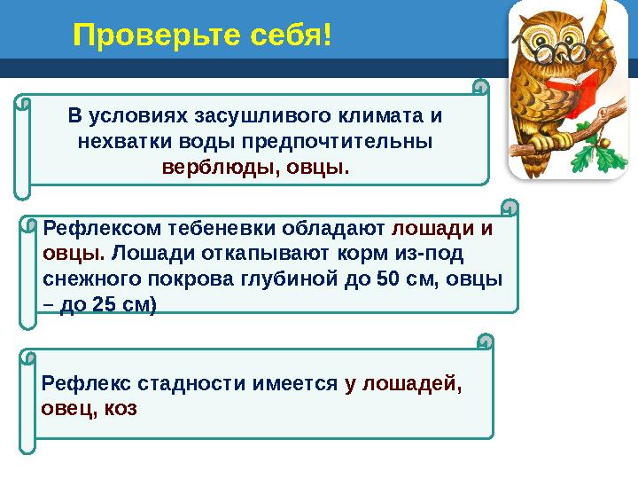 Проверьте себя! В условиях засушливого климата и нехватки воды предпочтительны верблюды, овцы. Рефлексом тебеневки обладают ло