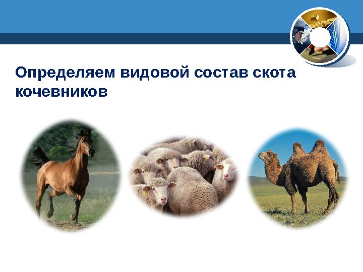 Определяем видовой состав скота кочевников