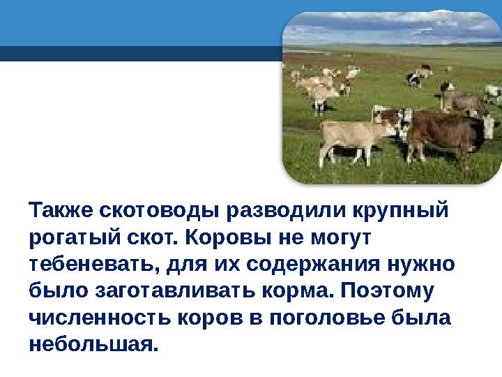 Также скотоводы разводили крупный рогатый скот. Коровы не могут тебеневать, для их содержания нужно было заготавливать корма.