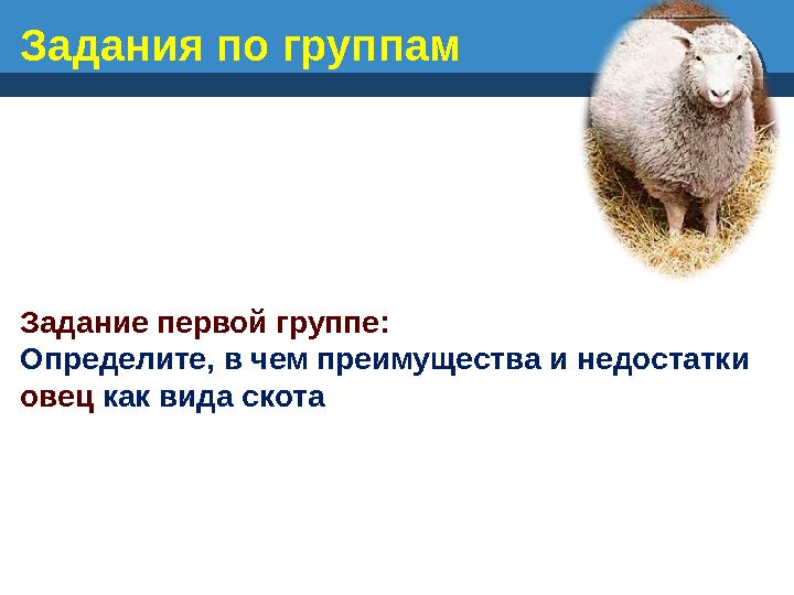 Задания по группам Задание первой группе: Определите, в чем преимущества и недостатки овец как вида скота
