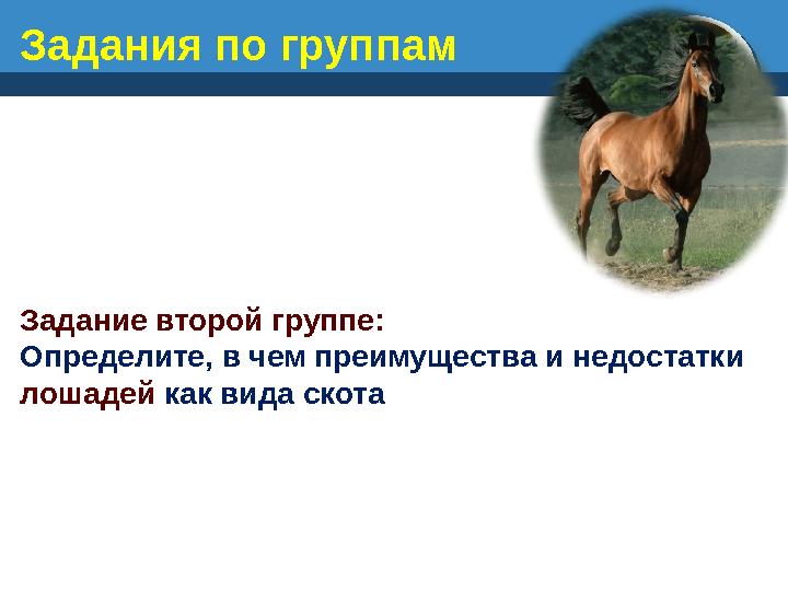 Задание второй группе: Определите, в чем преимущества и недостатки лошадей как вида скота Задания по группам