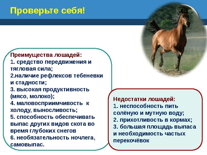 Проверьте себя! Преимущества лошадей: 1. средство передвижения и тягловая сила; 2.наличие рефлексов тебеневки и стадности; 3.