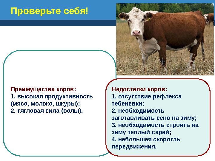 Проверьте себя! Преимущества коров: 1. высокая продуктивность (мясо, молоко, шкуры); 2. тягловая сила (волы). Недостатки кор