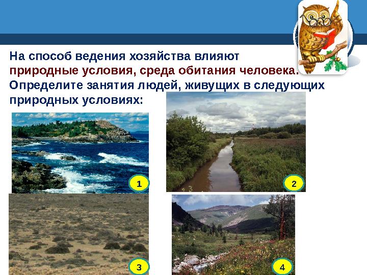 На способ ведения хозяйства влияют природные условия, среда обитания человека. Определите занятия людей, живущих в следующих