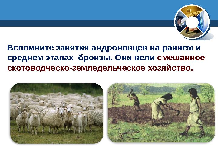 Вспомните занятия андроновцев на раннем и среднем этапах бронзы. Они вели смешанное скотоводческо-земледельческое хозяйство.