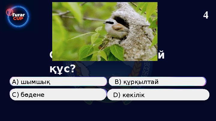 Суреттегі қандай құс? А) шымшық В) құрқылтай С) бөдене D) кекілік 4