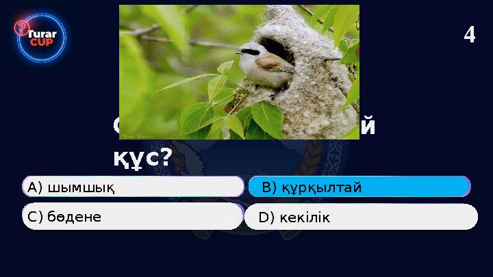 Суреттегі қандай құс? А) шымшық В) құрқылтай С) бөдене D) кекілік 4