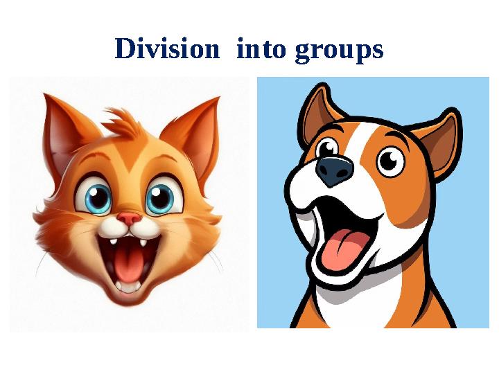 Division into groups