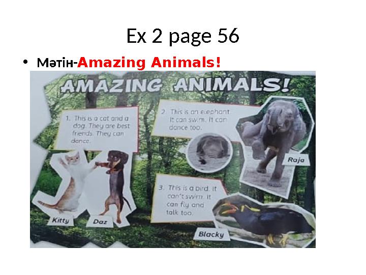 Ex 2 page 56 •Мәтін-Amazing Animals!