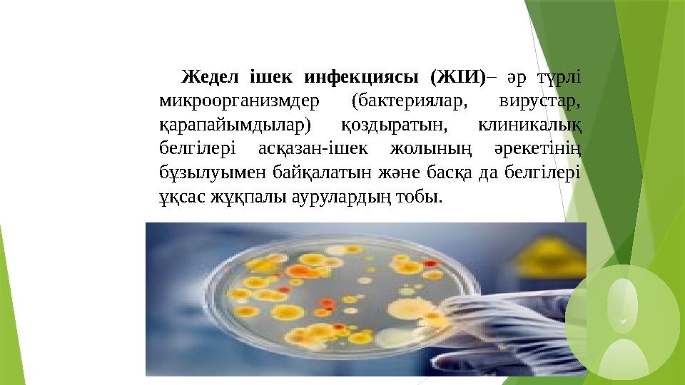 Жедел ішек инфекциясы (ЖІИ)– әр түрлі микроорганизмдер (бактериялар, вирустар, қарапайымдылар) қоздыратын, клиникалық бе