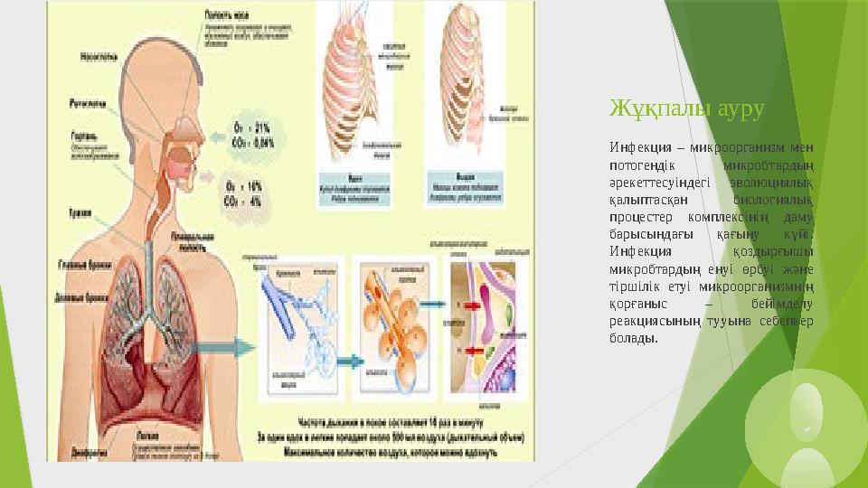 Жұқпалы ауру Инфекция – микроорганизм мен потогендік микробтардың әрекеттесуіндегі эволюциялық қалыптасқан биологиялық проце