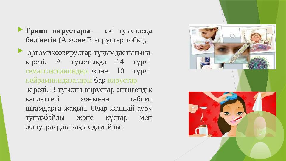 Грипп вирустары — екі туыстасқа бөлінетін (А және В вирустар тобы),  ортомиксовирустар тұқымдастығына кіреді. А туыстыққа 14