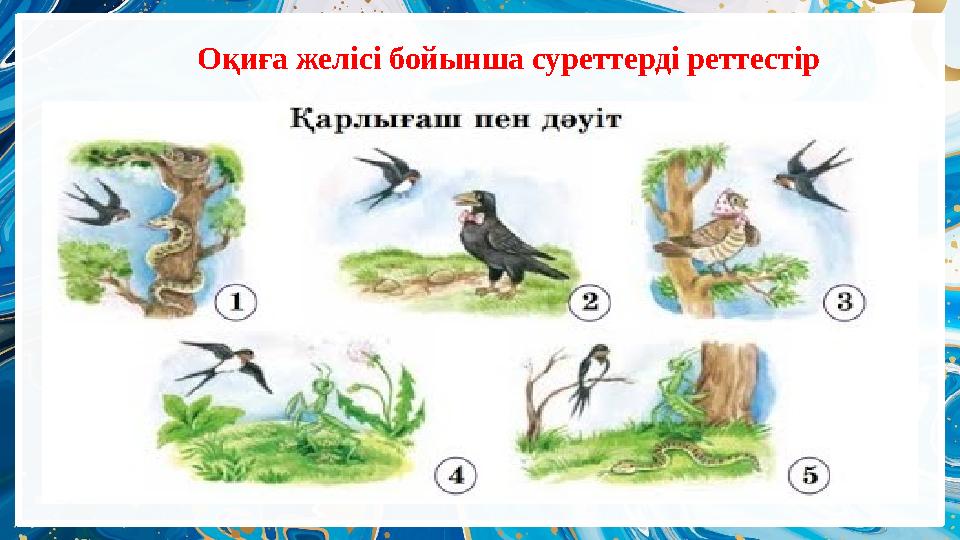 Оқиға желісі бойынша суреттерді реттестір