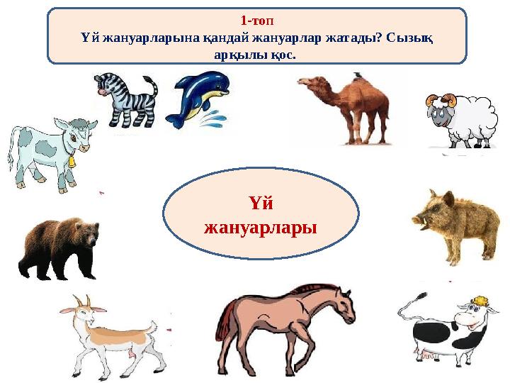 1-топ Үй жануарларына қандай жануарлар жатады? Сызық арқылы қос. Үй жануарлары