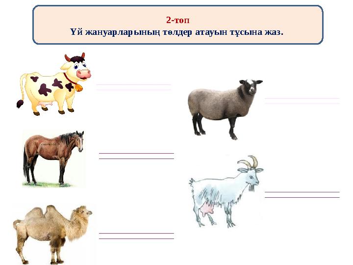 2-топ Үй жануарларының төлдер атауын тұсына жаз.