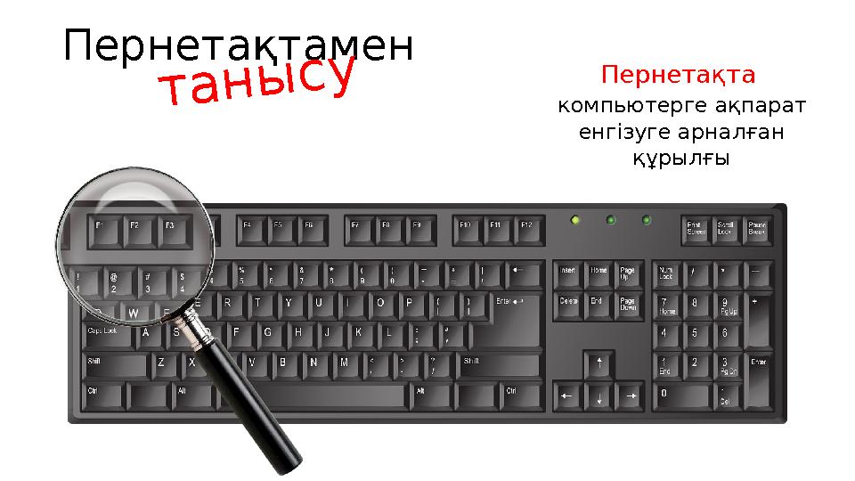 Пернетақта компьютерге ақпарат енгізуге арналған құрылғы Пернетақтамен танысу