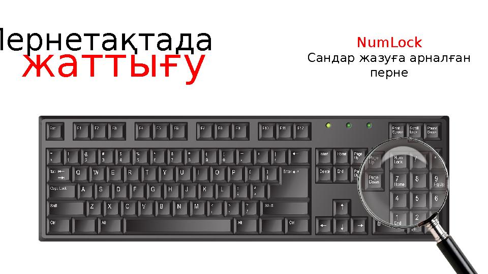 Пернетақтада жаттығу NumLock Сандар жазуға арналған перне