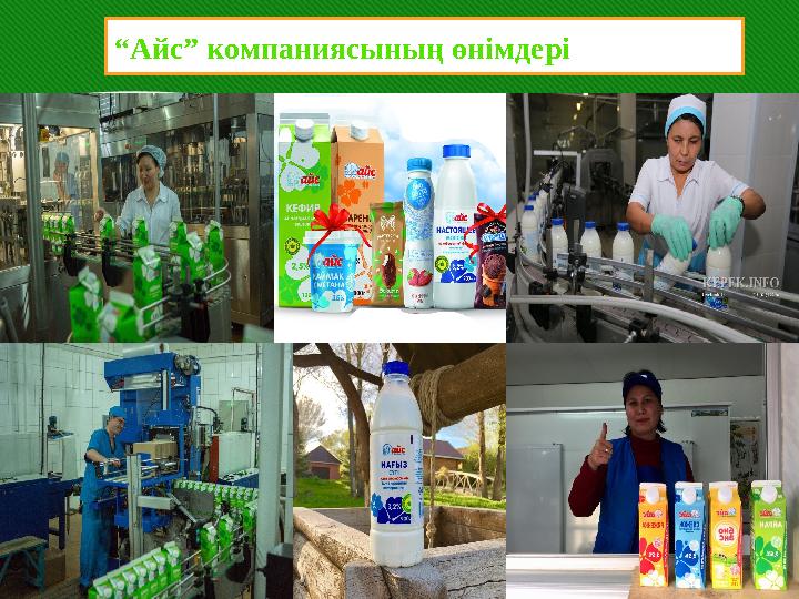 “Айс” компаниясының өнімдері