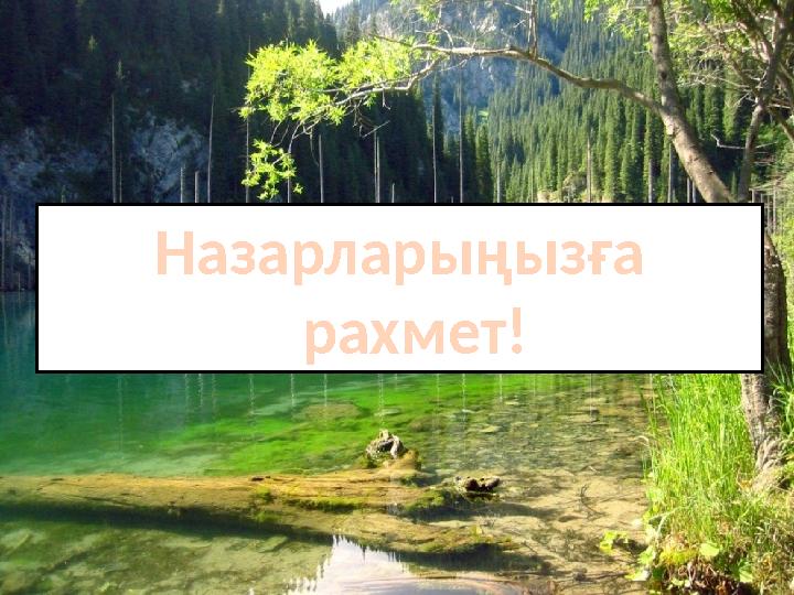 Назарларыңызға рахмет!