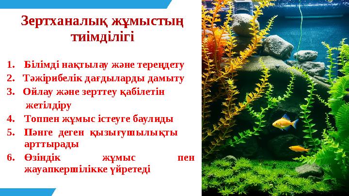 Зертханалық жұмыстың тиімділігі 1.Білімді нақтылау және тереңдету 2. Тәжірибелік дағдыларды дамыту 3. Ойлау және зерттеу қа