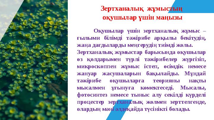 Зертханалық жұмыстың оқушылар үшін маңызы Оқушылар үшін зертханалық жұмыс – ғылыми білімді тәжірибе арқылы бекітудің,
