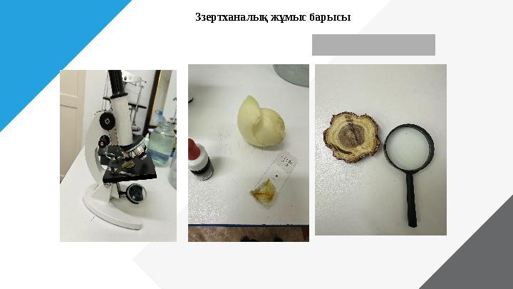 Ззертханалық жұмыс барысы
