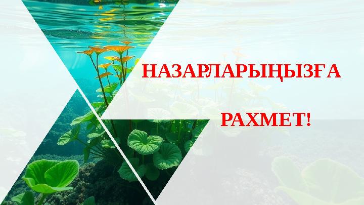 НАЗАРЛАРЫҢЫЗҒА РАХМЕТ!