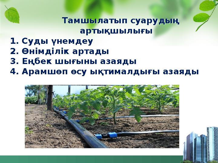 Тамшылатып суарудың артықшылығы 1. Суды үнемдеу 2. Өнімділік артады 3. Еңбек шығыны азаяды 4. Арамшөп