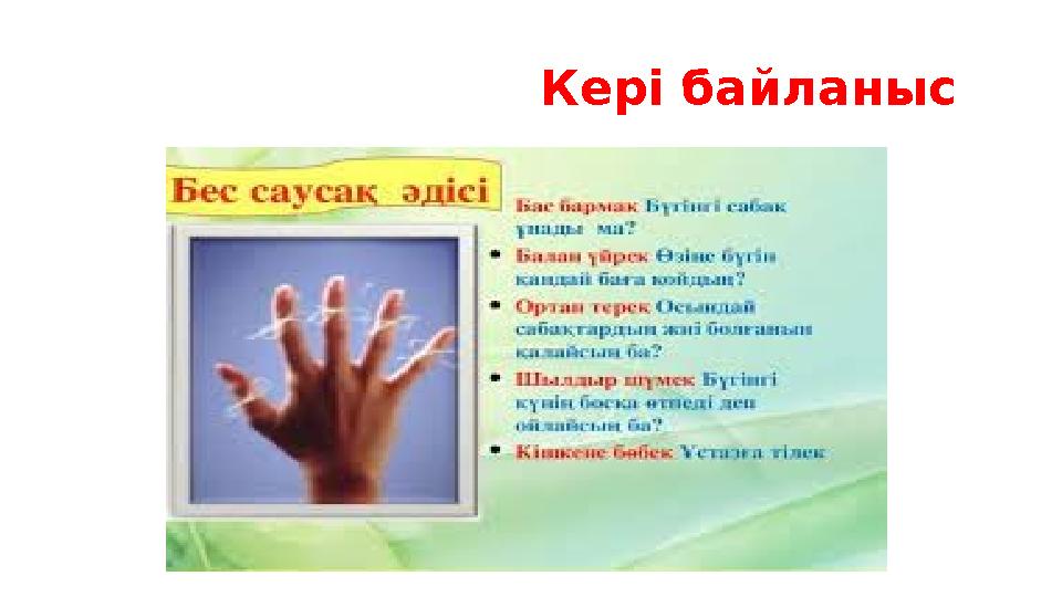 Кері байланыс