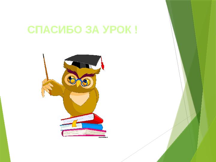 СПАСИБО ЗА УРОК !