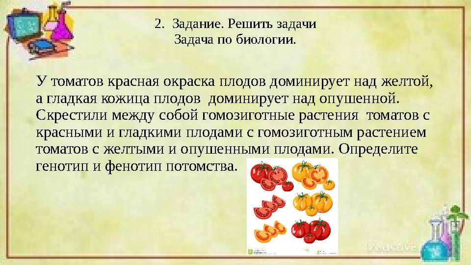 2. Задание. Решить задачи Задача по биологии. У томатов красная окраска плодов доминирует над желтой, а гладкая кожица плодов