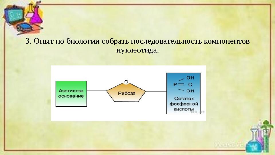 3. Опыт по биологии собрать последовательность компонентов нуклеотида.