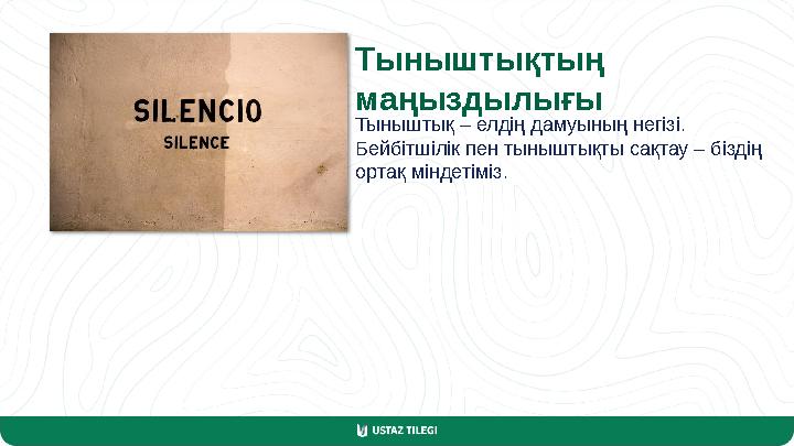 Тыныштықтың маңыздылығы Тыныштық – елдің дамуының негізі. Бейбітшілік пен тыныштықты сақтау – біздің ортақ міндетіміз.