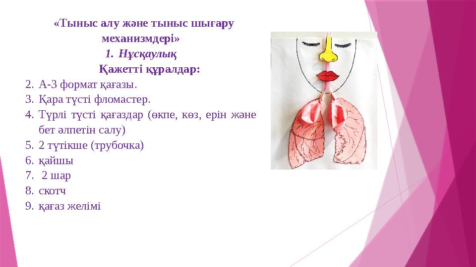 «Тыныс алу және тыныс шығару механизмдері» 1.Нұсқаулық Қажетті құралдар: 2.А-3 формат қағазы. 3.Қара түсті фломастер. 4.Түрлі