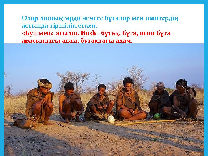 Олар лашықтарда немесе бұталар мен шөптердің астында тіршілік еткен. «Бушмен» ағылш. Bush –бұтақ, бұта, яғни бұта арасындағы