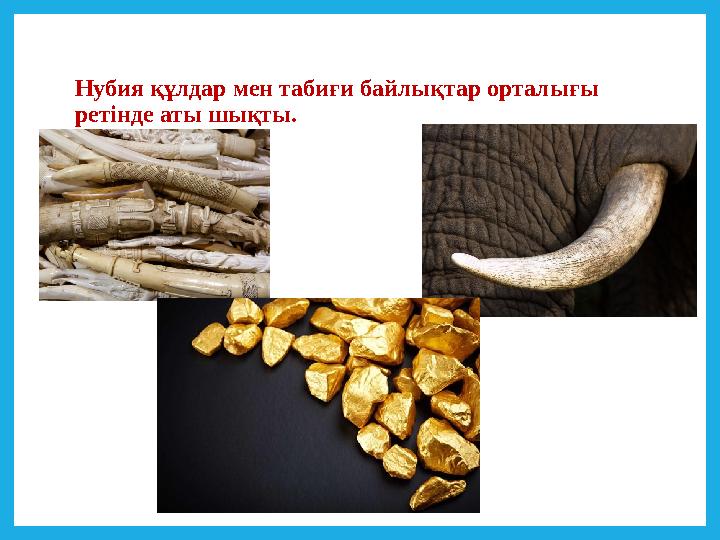 Нубия құлдар мен табиғи байлықтар орталығы ретінде аты шықты.