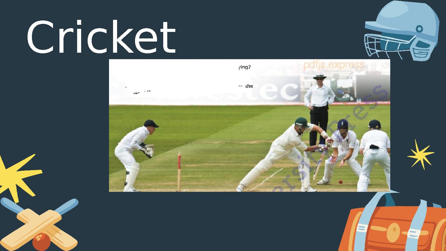 Cricket