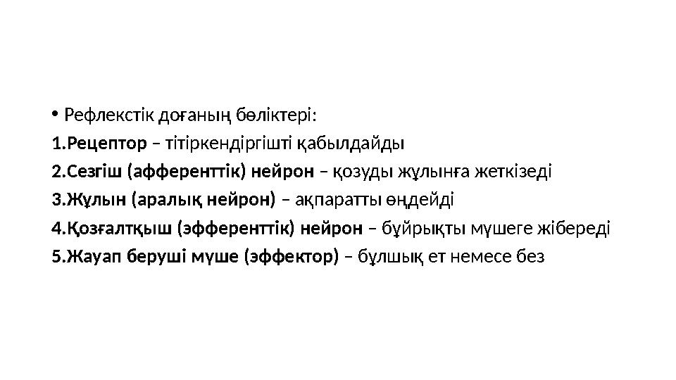 •Рефлекстік доғаның бөліктері: 1.Рецептор – тітіркендіргішті қабылдайды 2.Сезгіш (афференттік) нейрон – қозуды жұлынға жеткізеді