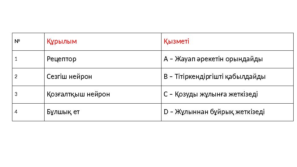 № Құрылым Қызметі 1 Рецептор A – Жауап әрекетін орындайды 2 Сезгіш нейрон B – Тітіркендіргішті қабылдайды 3 Қозғалтқыш нейрон C