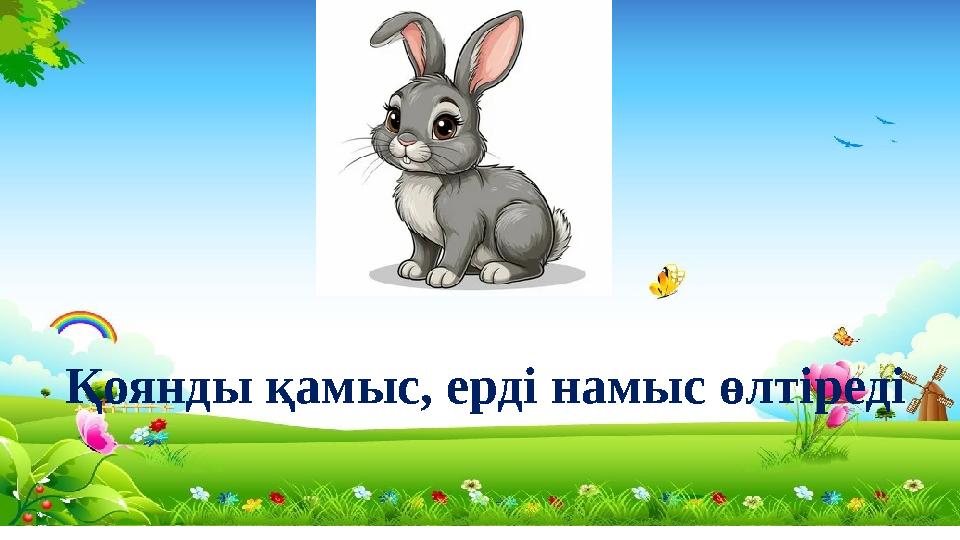 Қоянды қамыс, ерді намыс өлтіреді