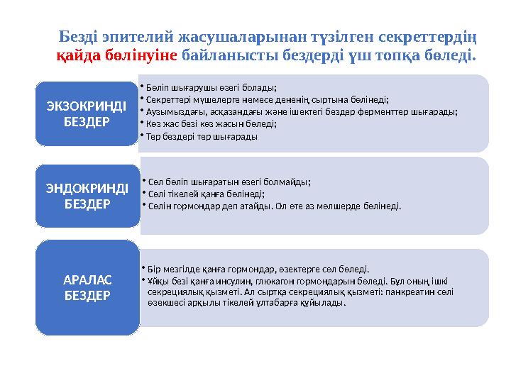 Безді эпителий жасушаларынан түзілген секреттердің қайда бөлінуіне байланысты бездерді үш топқа бөледі. •Бөліп шығарушы өзегі