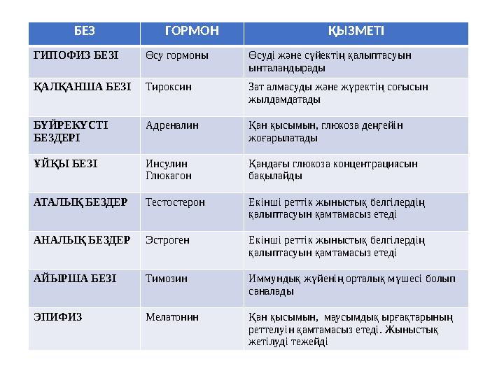 БЕЗ ГОРМОН ҚЫЗМЕТІ ГИПОФИЗ БЕЗІ Өсу гормоны Өсуді және сүйектің қалыптасуын ынталандырады ҚАЛҚАНША БЕЗІ Тироксин Зат алмасуды ж