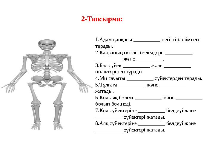 2-Тапсырма: 1.Адам қаңқасы __________ негізгі бөлімнен тұрады. 2.Қаңқаның негізгі бөлімдері: __________, __________ және _____