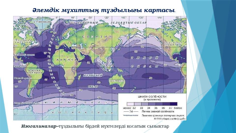 Әлемдік мұхиттың тұздылығы картасы . Изогалиналар–тұздылығы бірдей нүктелерді қосатын сызықтар