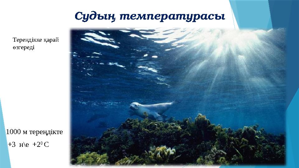 Судың температурасы Тереңдікке қарай өзгереді 1000 м тереңдікте +3 н\е +2 0 С