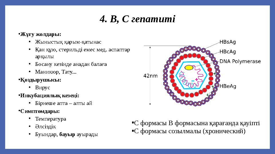 4. B, C гепатиті •Жұғу жолдары: •Жыныстық қарым-қатынас •Қан құю, стерильді емес мед. аспаптар арқылы •Босану кезінде анадан ба