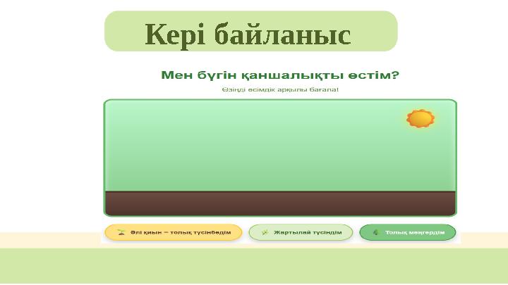 Кері байланыс