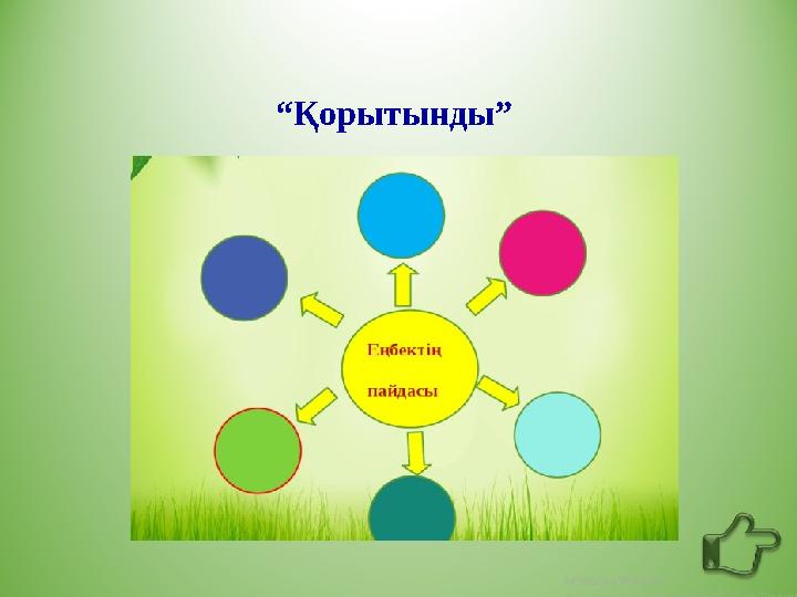 “Қорытынды”