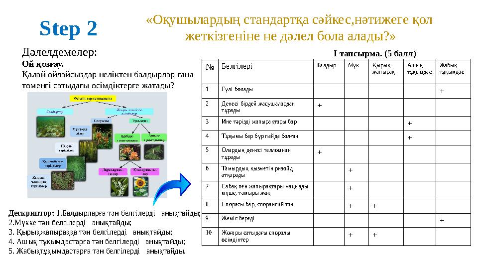 Step 2 «Оқушылардың стандартқа сәйкес,нәтижеге қол жеткізгеніне не дәлел бола алады?» Дәлелдемелер: Ой қозғау. Қалай ойлайсызда